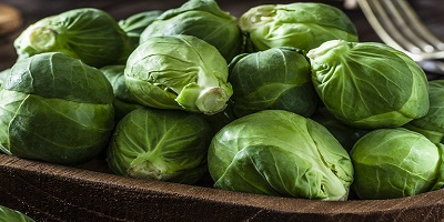 Sprouts and Poinasettia