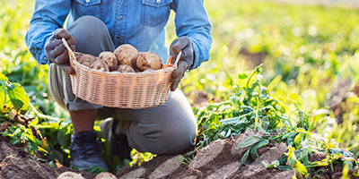 Fera Science Shortlisted for National Potato Industry Innovation Award