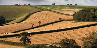 Westminster Insight's Future of British Farming Conference 2020