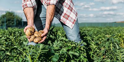 The Oxford Farming Conference 2019