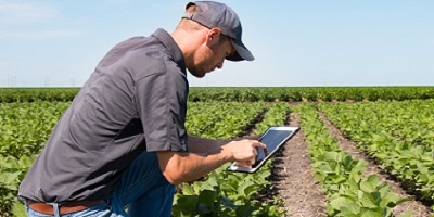 If you are a potato grower – we need your help.