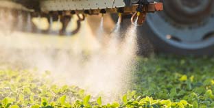 European Union Announced That It Will No Longer Permit Sales Of Chlorpyrifos