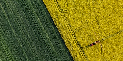 7th edition of the International Conference on Pesticide Behaviour in Soils, Water and Air - 30 August - 1 September 2017, Ron Cooke Hub,  University of York, Heslington, York