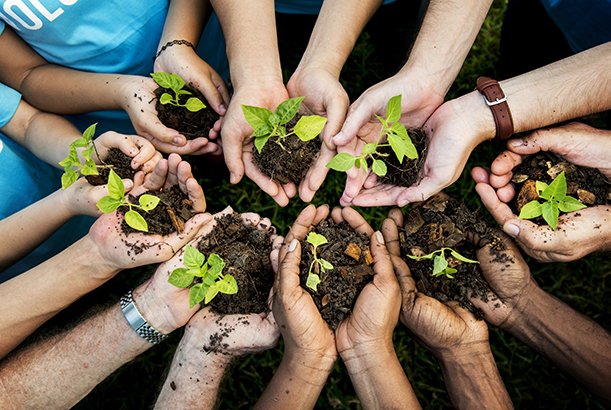 Fera's Plant Clinic is Proud to be Supporting Plant Health Week in the UK