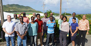 Bug hunting in the Emerald Isle of the Caribbean