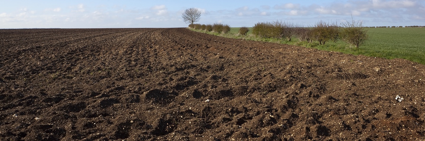 Soil Health Unit