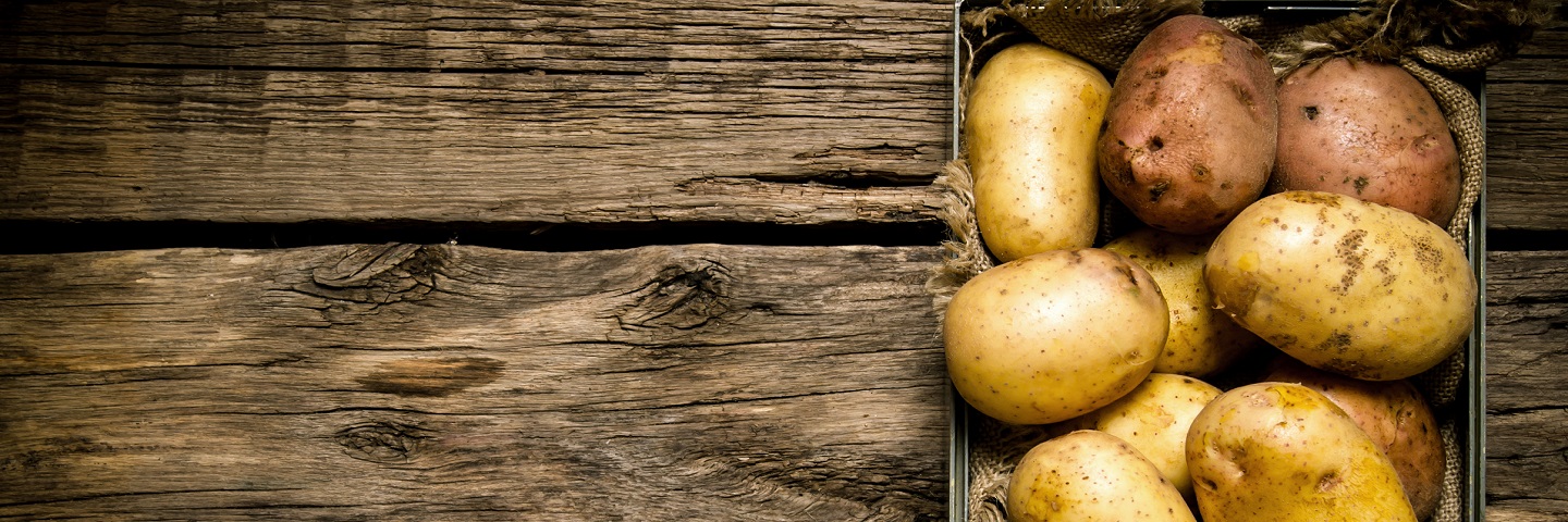 Rapid direct tuber test for virus in Potato (PVY + 3 Viruses)