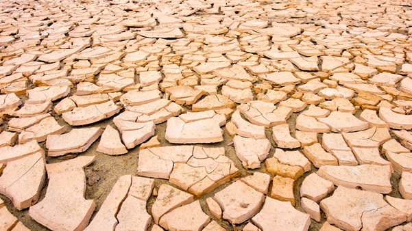 Dry Earth