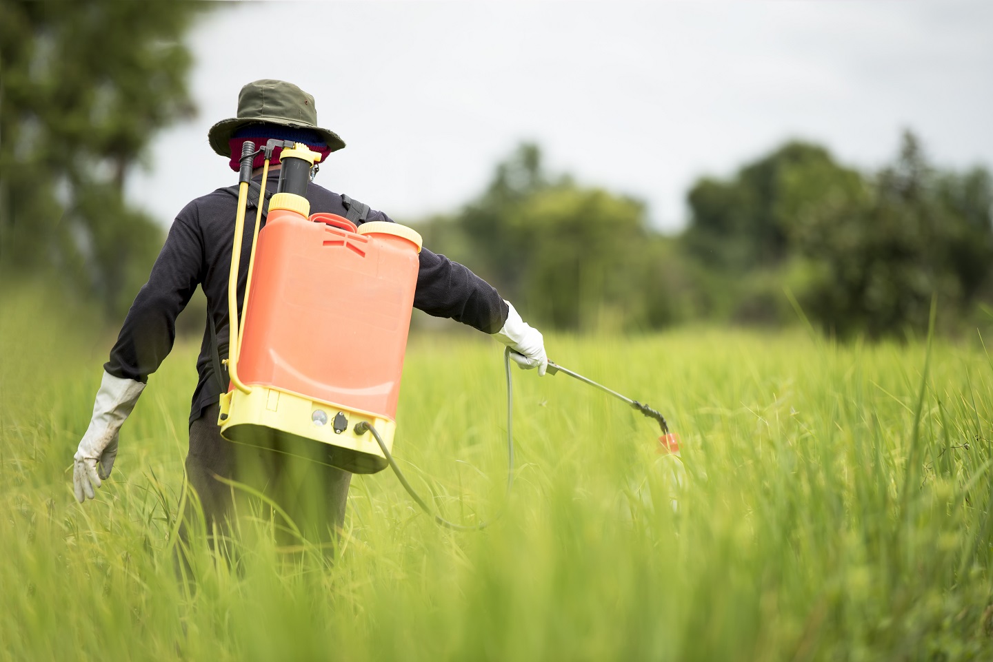 Pesticide Use