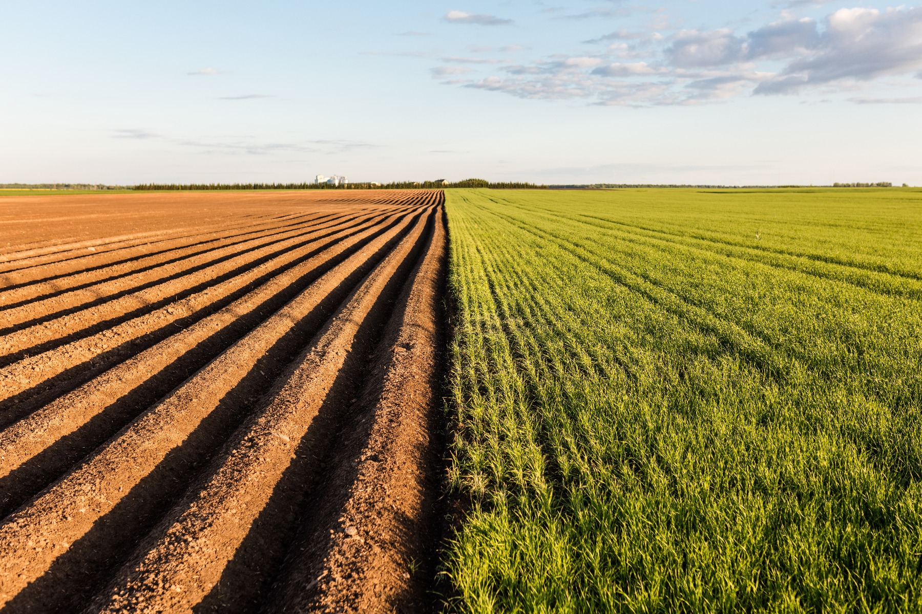 Soil Health Unit