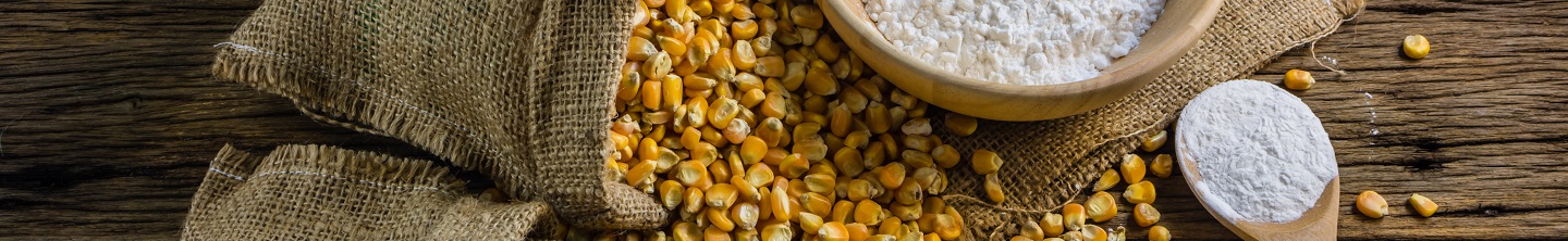 Sweetcorn and Flour Cropped