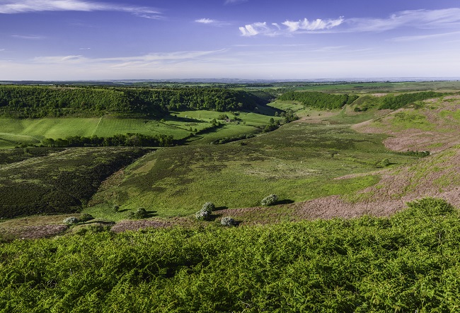 Yorkshire